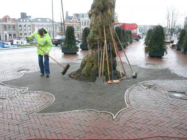 boomrooster eigen design blad leeuwarden mercuriusfontijn