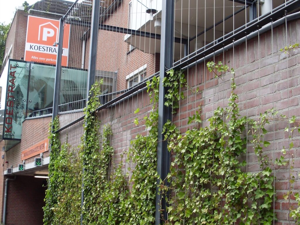 Groeikorf, groeikorven, groengeleiders, lindegeleiders, plantgeleiders, boomgeleiders, groendragers, pergola's, ranksystemen