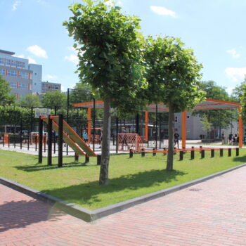 Calisthenics, Calisthenics park, Calisthenics toestellen, Calisthenics sportpark