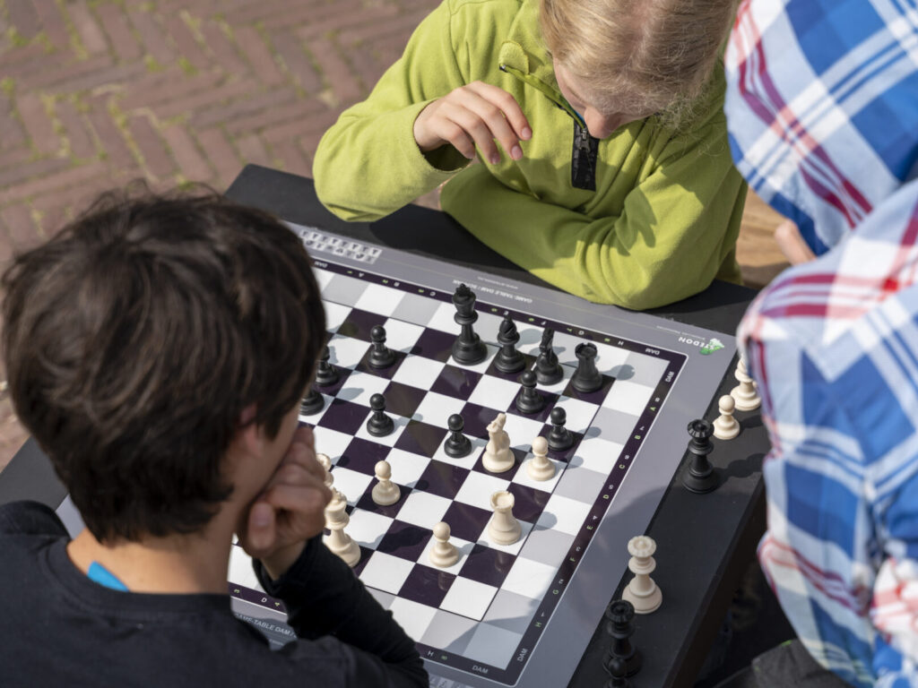 Dam schaak tafel, dam tafel, schaak tafel, game table, picknicktafel beton