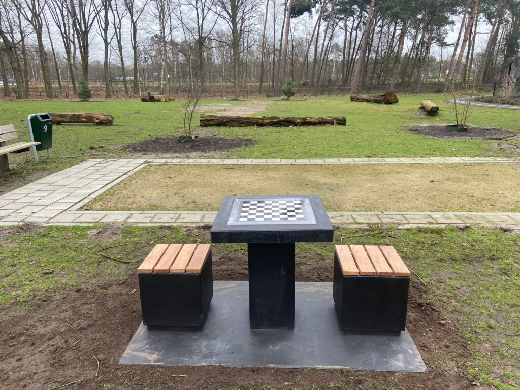 Dam schaak tafel, dam tafel, schaak tafel, game table, picknicktafel beton