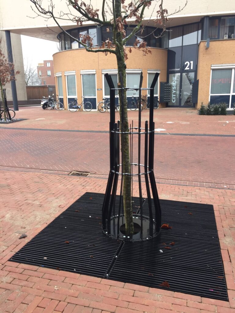 belang van boombescherming in openbare ruimte