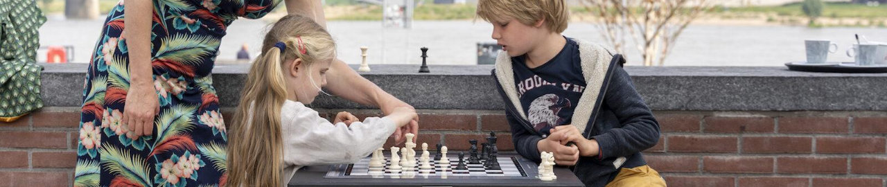 Vind een van de openbare schaaktafels bij jou in de buurt
